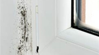 Máy rửa bát có thể là ổ khuẩn gây nhiễm trùng máu