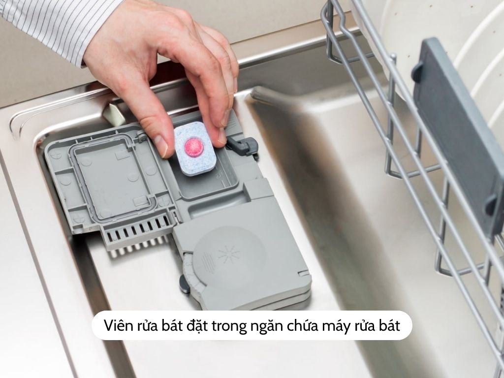 vien-rua-bat-dat-trong-ngan-chua-may-rua-bat
