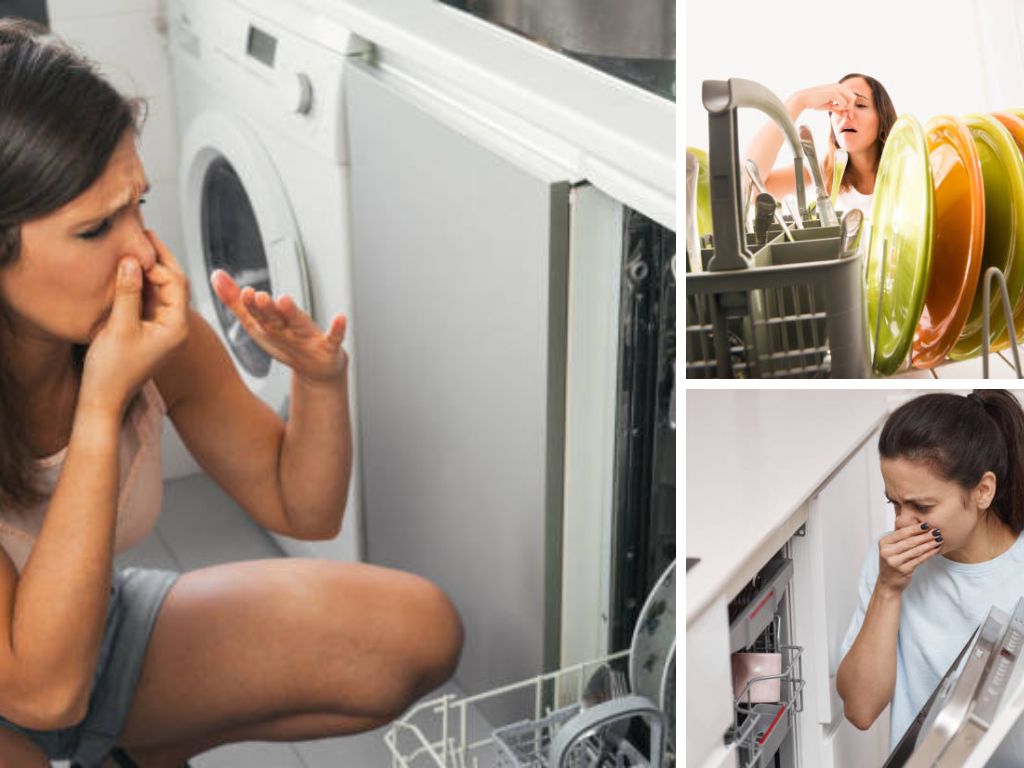 bát đĩa có thể bốc mùi nếu để trong máy rửa bát quá lâu