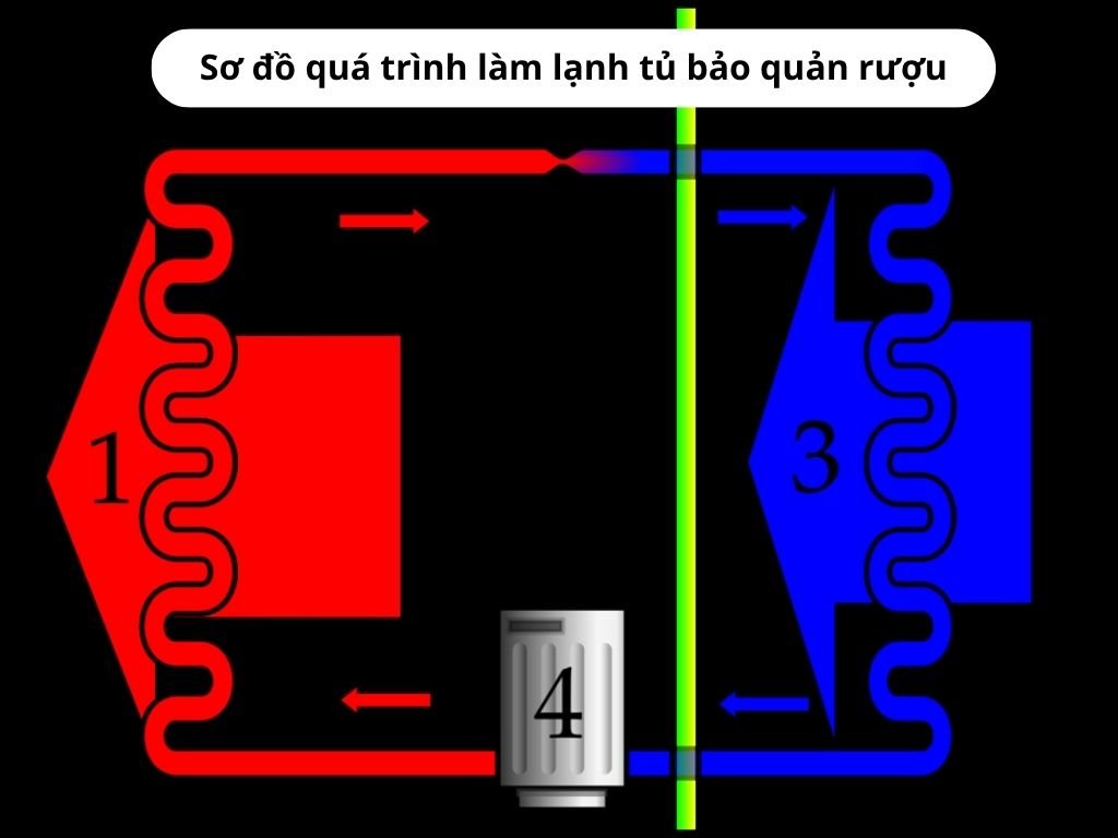 Sơ đồ chu trình làm lạnh bằng máy nén của tủ bảo quản rươu vang